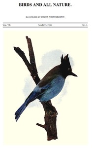 Birds and All Nature, Vol 7, No. 3, March 1900
Illustrated by Color Photography