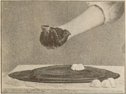 Voila, chocolate covered hand holding chocolate covered bon-bon