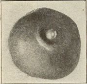 bon-bon with dragee on top