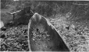 WATERMAN—CANOES  PL. V  INTERIOR VIEW OF THE HULL OF A SUQUAMISH “HUNTING CANOE” IN PROCESS OF MANUFACTURE  Made by Jack Adams (Xa´bsus), near Suquamish, Washington, in March, 1920.  (Photograph by J. D. Leechman.)