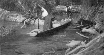 WATERMAN—CANOES PL. VII A “SHOVEL-NOSE” CANOE IN ACTION Scene on the upper waters of Quinault river, coast of Washington. (Photograph by J. H. Weir, of “The Mountaineers.”)