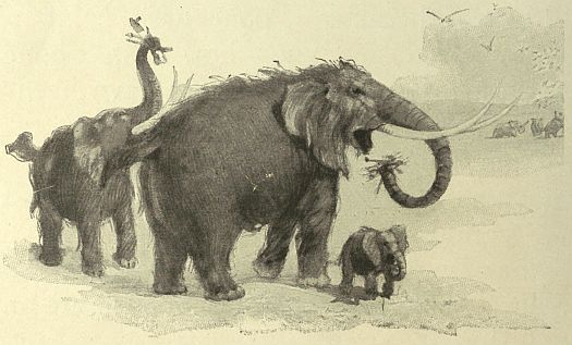 Wooley mammoth with baby and  maller mammoth