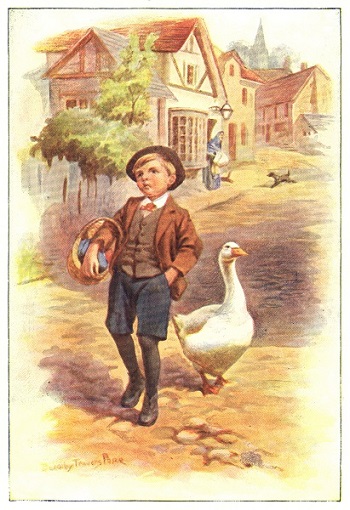 Goose following the boy