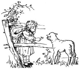 Girl feeding lamb