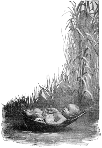 baby in a Moses basket