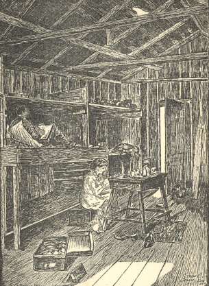 Picture of the squatters by Joseph D. Strong.  The title page incorrectly claims it was by Joseph A. Strong