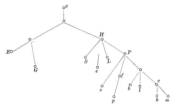 A tree/branching graph representing the editions outlined below
