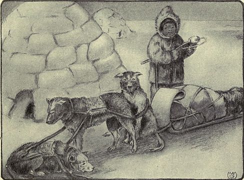 child, dog and sled and igloo