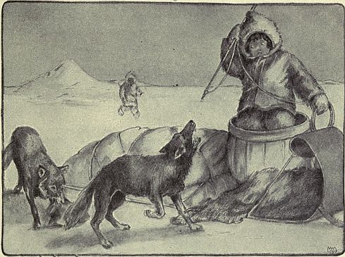 boy being attacked by wolves