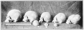 Image unavailable: 1. A Hawaiian. 2-4. Skulls from Choqquequirau. 5. A Flat-head Indian.  6. Bola found at Choqquequirau. 7. Whirl-bob.  8. Jar found in a grave, Choqquequirau.