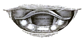 Laryngeal Image during Respiration