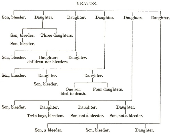 Haemophilia family tree