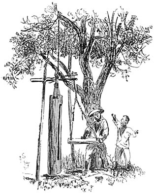 Dorfglocke in Camarines.