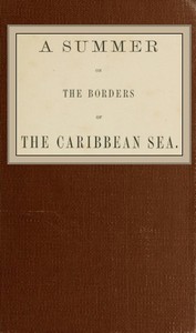 A summer on the borders of the Caribbean sea.