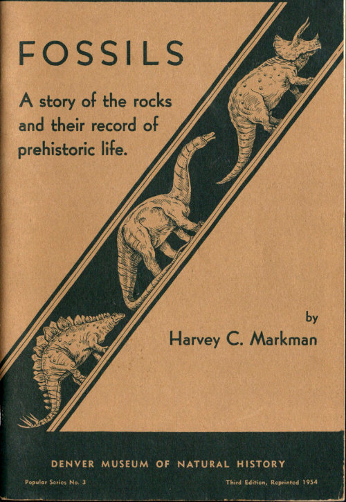 A Story of the Rocks and Their Record of Prehistoric Life