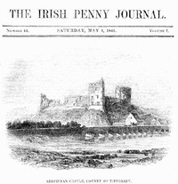 The Irish Penny Journal, Vol. 1 No. 44, May 1, 1841