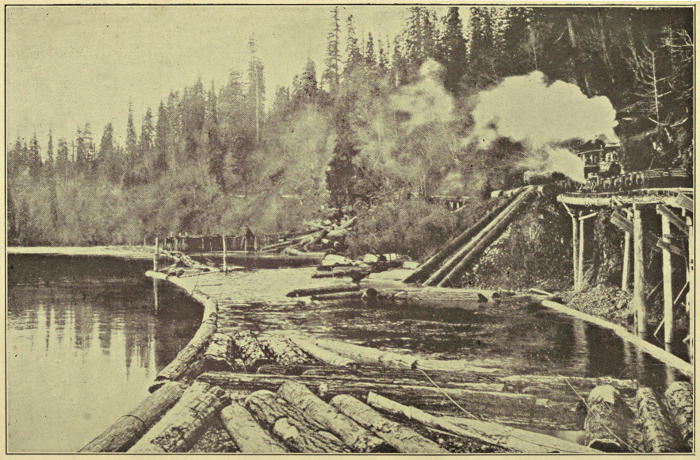 Photograph of logging machinery by a pine forest and a lake filled with cut logs
