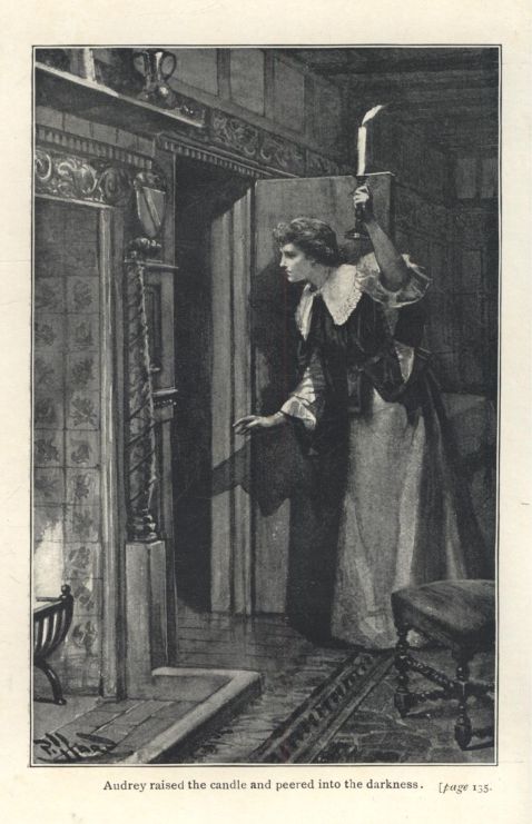 Audrey raised the candle and peered into the darkness. [page 135.