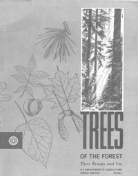 Trees of the Forest: Their Beauty and Use