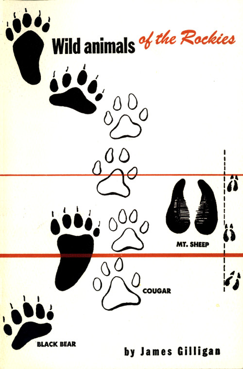 Wild Animals of the Rockies