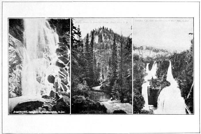 _Bridal Veil Falls, Spearfish Canyon, Black Hills, S. D._ _Beauty Scene in Spearfish Canyon, Black Hills, S. D._ _Little Spearfish Canyon, Black Hills, S. Dak._