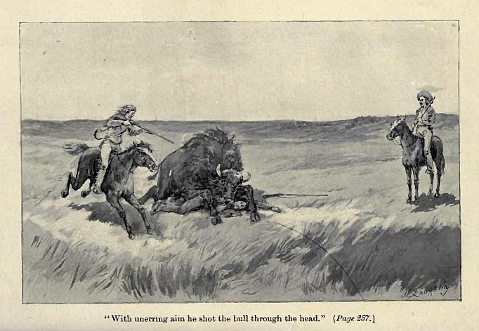 "With unerring aim he shot the bull through the head."