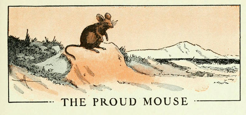THE PROUD MOUSE