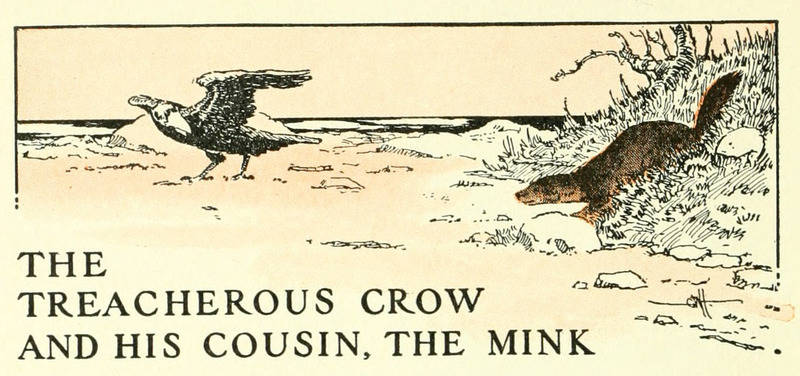 THE TREACHEROUS CROW AND HIS COUSIN, THE MINK