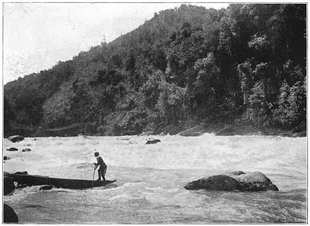 Afb. 24. Kiham Pajang in de Poedjoenganrivier. Links een rotan hangbrug over de rivier.