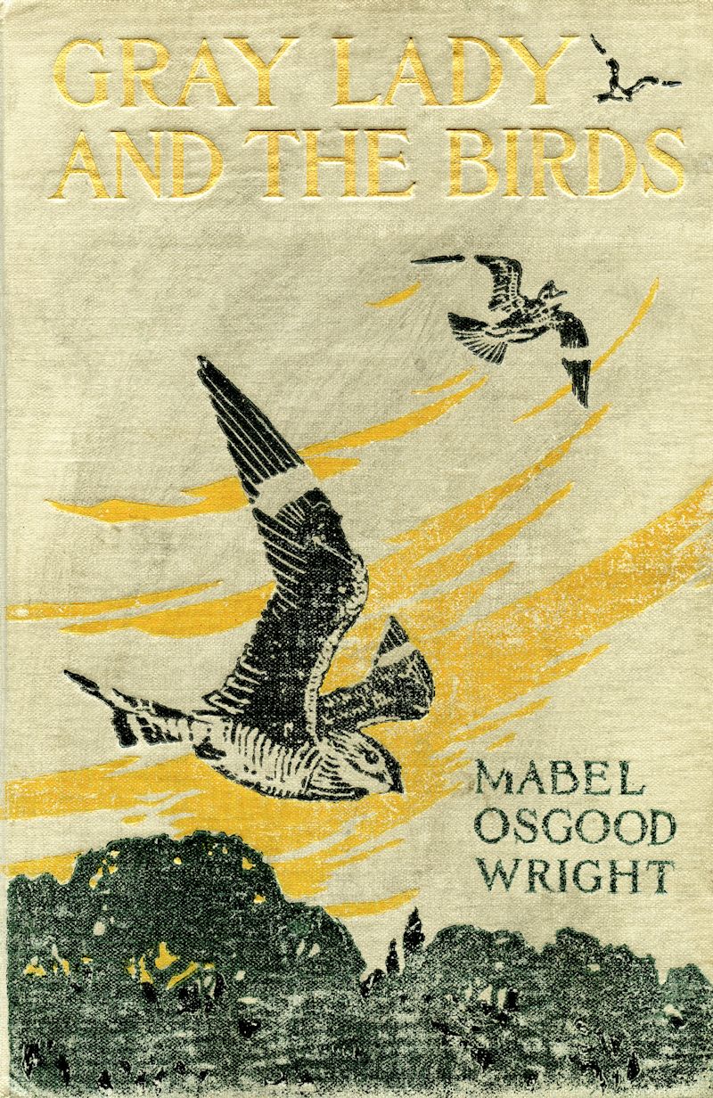 Half hours with fishes, reptiles, and birds . Fig. 183.—Barn Owl.. Fig.  184. — Burrowing Owl. THE OWLS AND PARROTS 209 when approached bow  repeatedly before taking to thewing. The eye