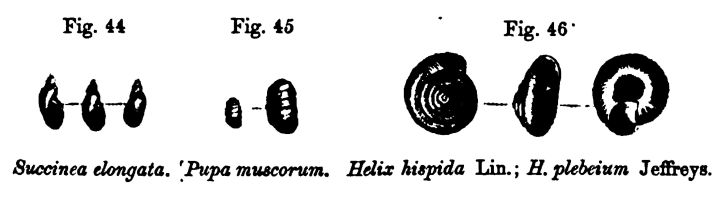 Figures 44, 45, and 46