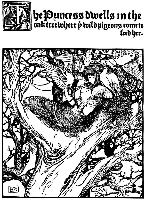 The Princess dwells in the oak-tree where ye wild pigeons come to feed her.