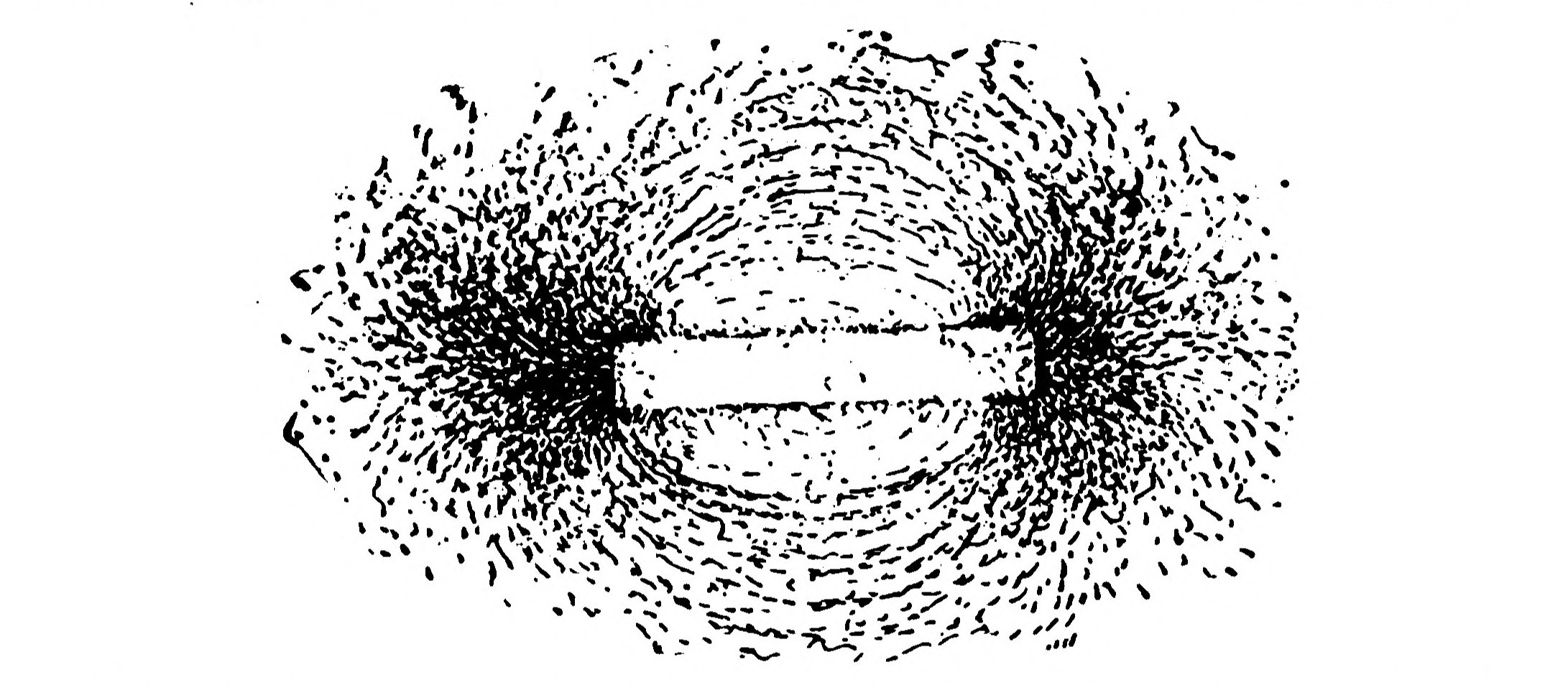 FIG. 180.—Magnetic Phantom showing the Lines of Force about a Bar Magnet.