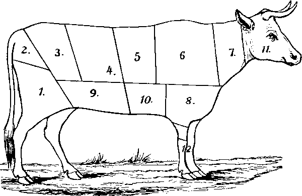 Numbered cuts on a beef cow