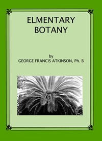 Elementary Botany