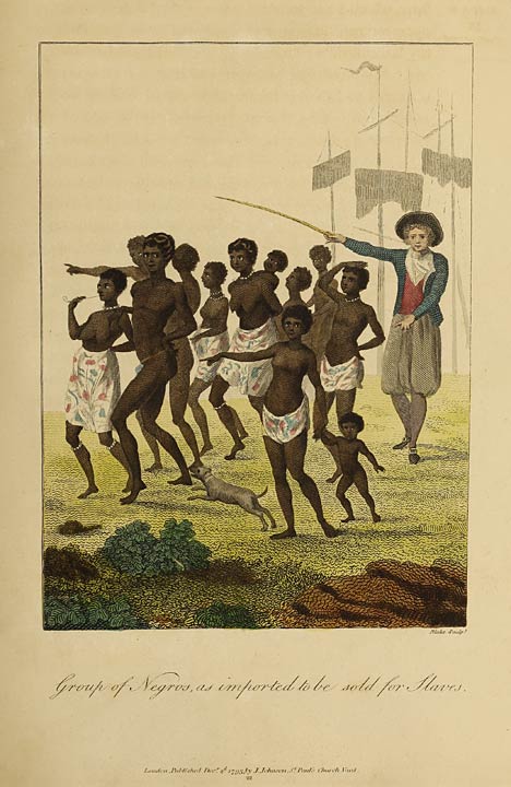 Group of Negros, as imported to be sold for Slaves.
