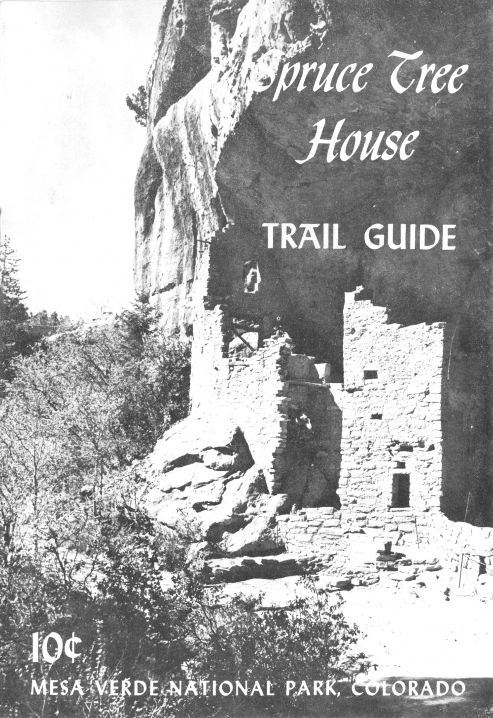 Spruce Tree House Trail Guide