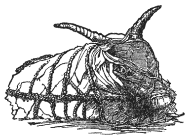 Mummy of the Bull Apis