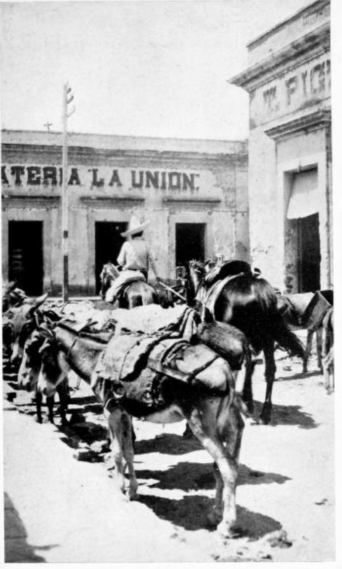 A BURRO TRAIN LADEN WITH BULLION FROM THE MINES
