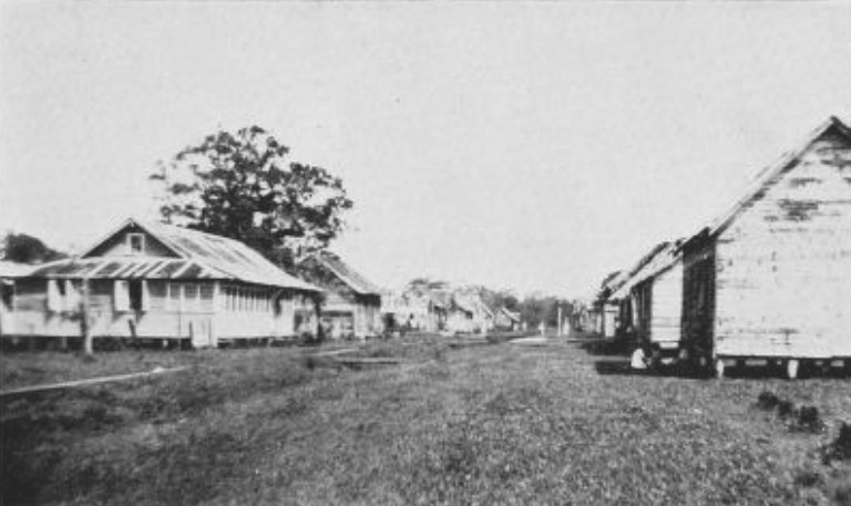 GREYTOWN WAS A TYPICAL EAST COAST PORT—LOW, SWAMPY AND UNATTRACTIVE—WITH BLACK COMPLEXIONS PREVAILING