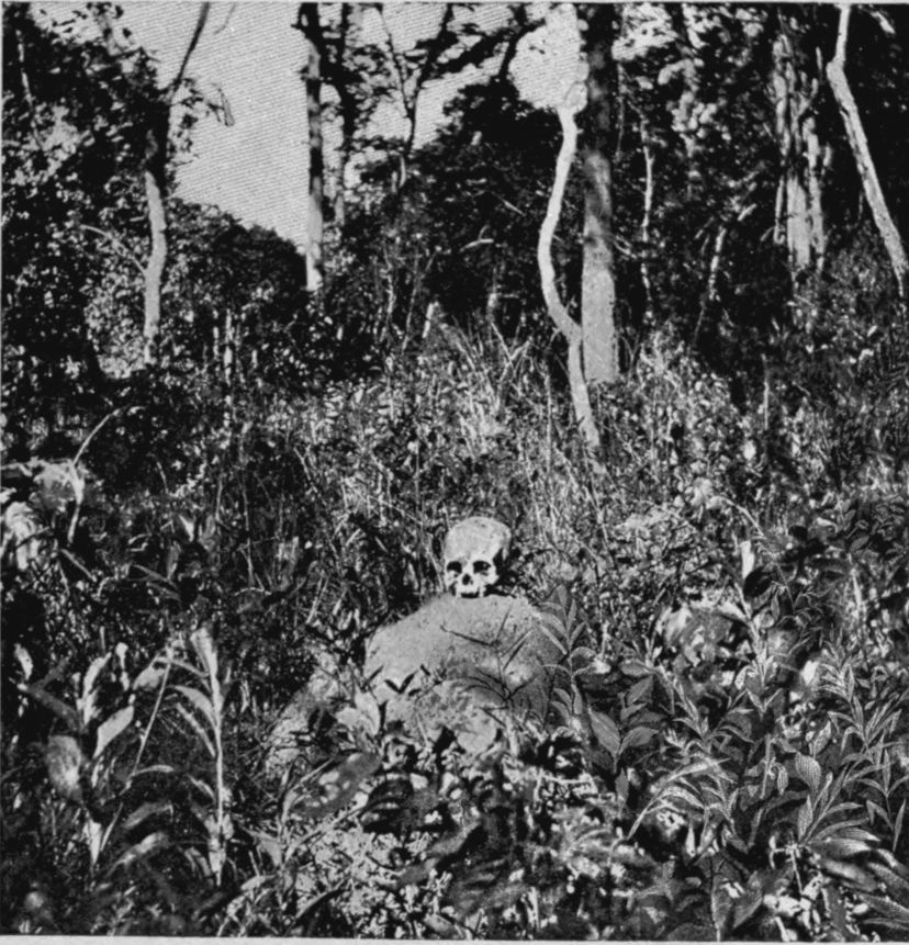 SKELETON OF SLAVE ON A PATH THROUGH THE HUNGRY COUNTRY