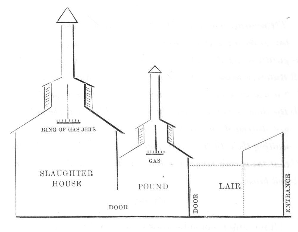 Diagram of slaughter-house