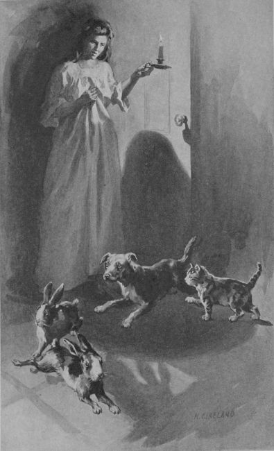 Mrs Wood with her candle found dogs, cats and rabbits