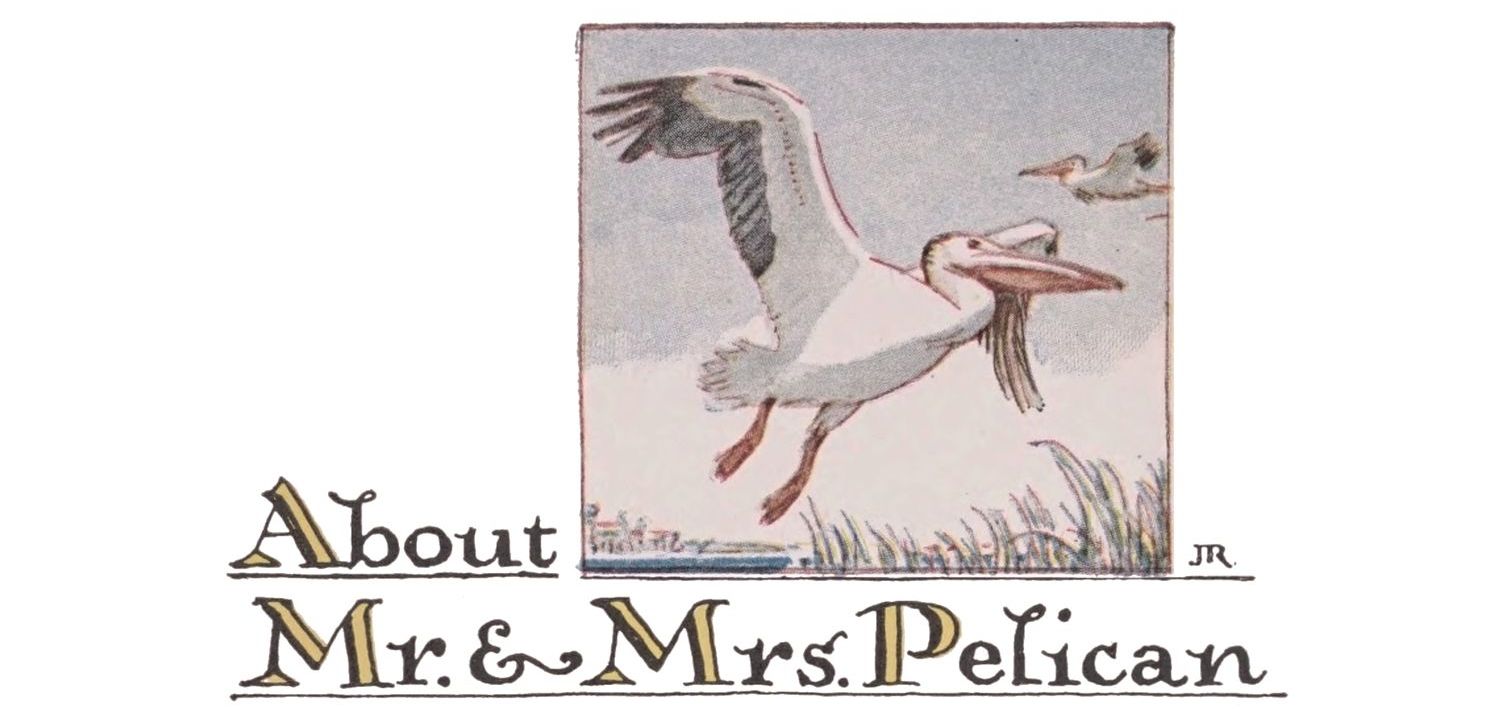 About Mr. & Mrs. Pelican