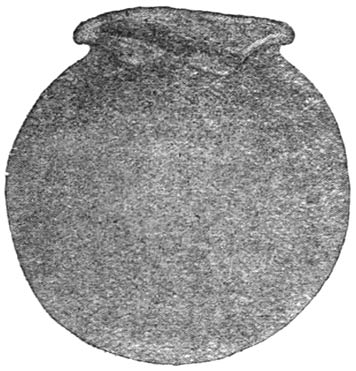 Fig. 2.—The Sacred Beetle’s pill dug out cupwise to receive the egg.