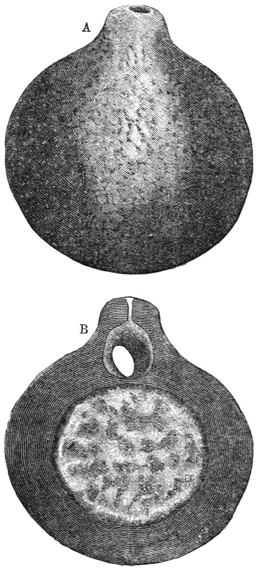 Fig. 9.—Work of Phanæus Milo.   