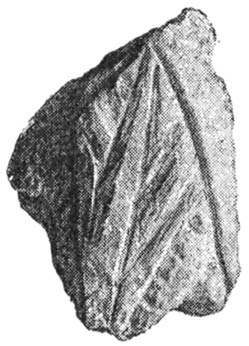 FRAGMENT OF SOAPSTONE BOWL WITH EAR OF CORN