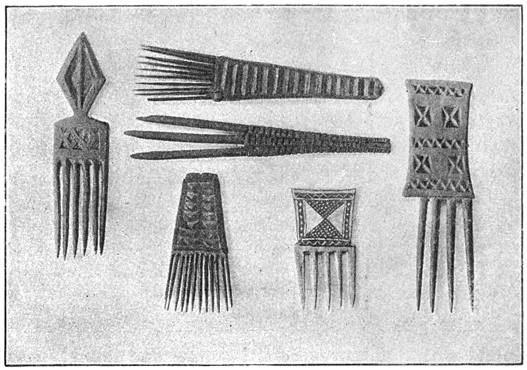 A COLLECTION OF COMBS