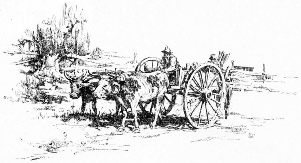 two-wheeled cart and oxen