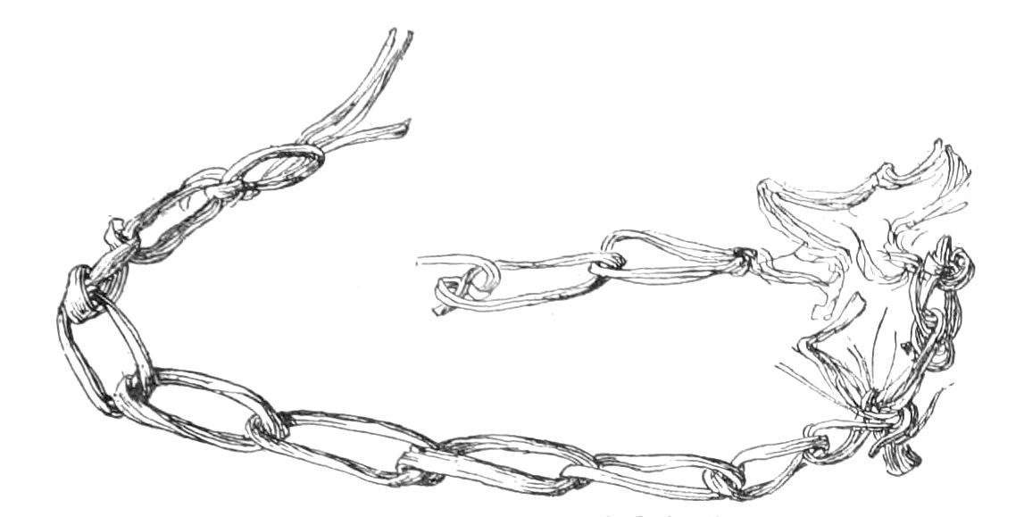 Fig. 27. Agave fiber tied in loops